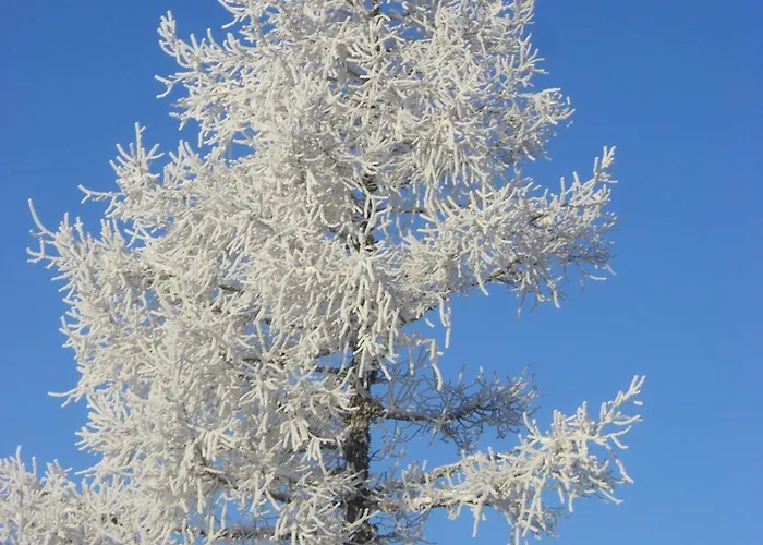 Gasthof Hunerkogel Πανσιόν