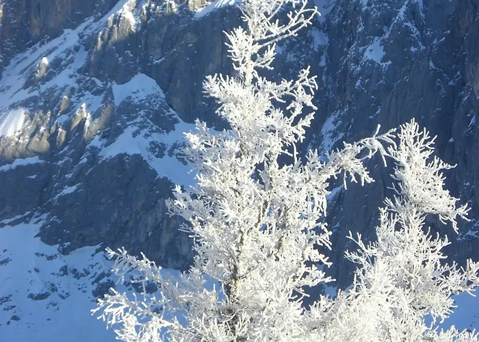 Gasthof Hunerkogel 3*