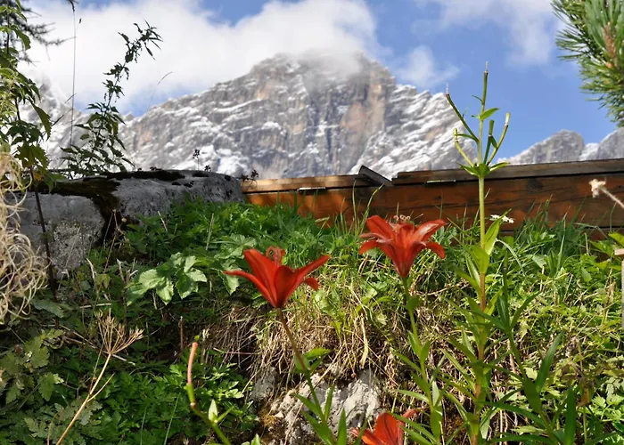 Πανσιόν Gasthof Hunerkogel